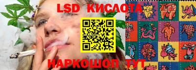 ALPHA PVP Новодвинск