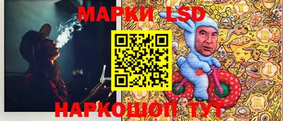 индика Новозыбков
