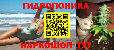 индика Новозыбков