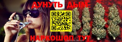 ALPHA PVP Новодвинск