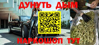индика Новозыбков