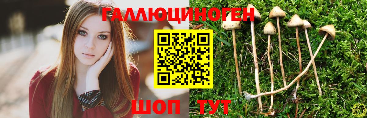 Псилоцибиновые грибы ЛСД Туапсе