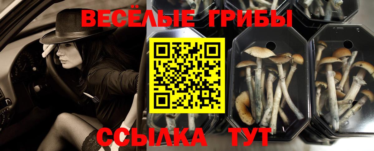 Конопля Туапсе