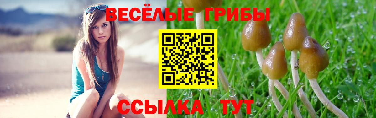 Туапсе  Галлюциногенные грибы Magic Shrooms  Вход с VPN  Псилоцибиновые грибы прущие грибы 